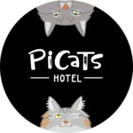 зоогостиница PiCats Hotel