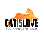 зоогостиница Cat is Love