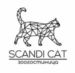 зоогостиница Scandi Cat
