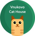 зоогостиница Vnukovo Cat House