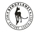 зоогостиница Питомник бенгальских кошек Bengplanet