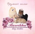 зоосалон Barvikha Dog Studio